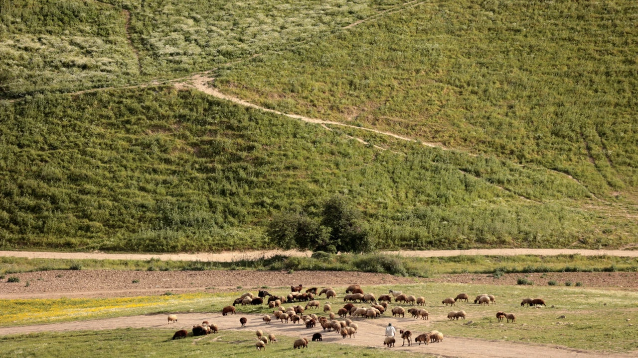 تراجع درجات الحرارة.. حالة الطقس المتوقعة في الأردن خلال الساعات المقبلة من يوم الأربعاء